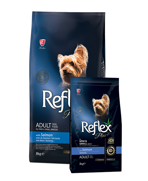reflex-somon Reflex Plus Küçük & Mini Irk Somonlu Yetişkin Köpek Maması - Görsel 1